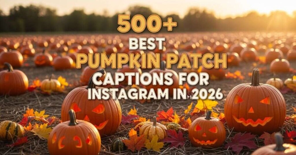 500-best-pumpkin-patch-captions-for-instagram-in-2026