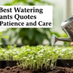 350-best-watering-the-plants-quotes-about-patience-and-care
