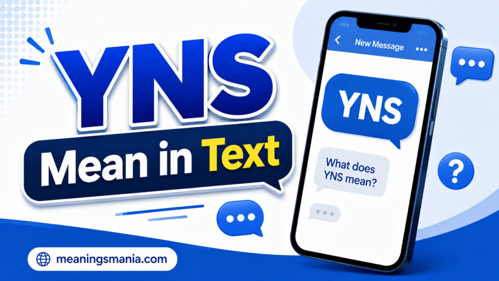 yns-mean-in-text